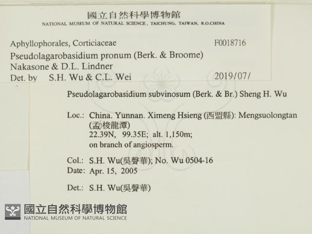 登錄號:F0018716藏品圖，第2張