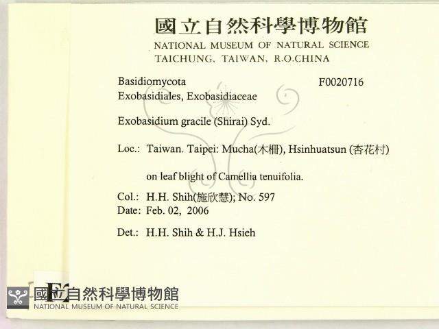 登錄號:F0020716藏品圖，第2張