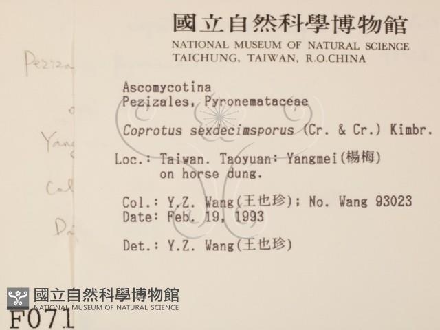 登錄號:F0000716藏品圖，第2張