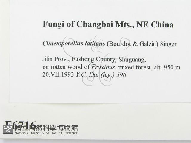 登錄號:F0006716藏品圖，第2張