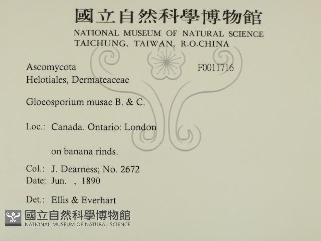 登錄號:F0011716藏品圖，第2張