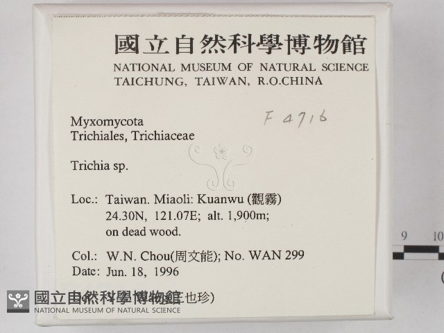 登錄號:F0004716藏品圖，第2張