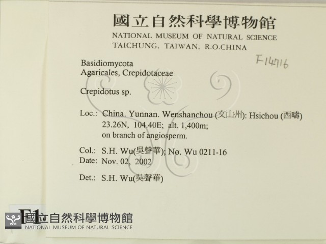 登錄號:F0014716藏品圖，第2張