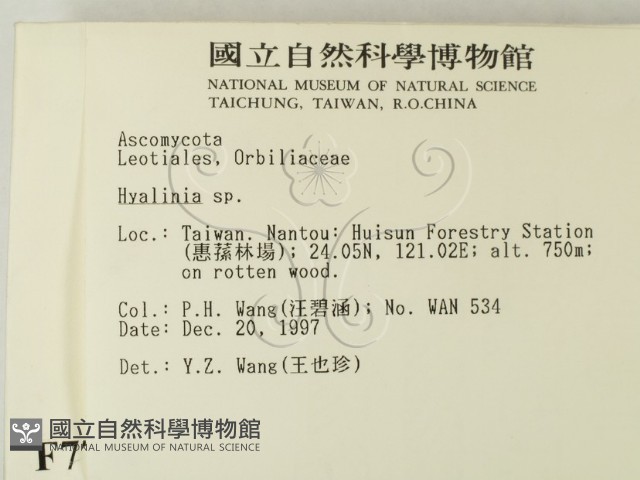 登錄號:F0007716藏品圖，第2張