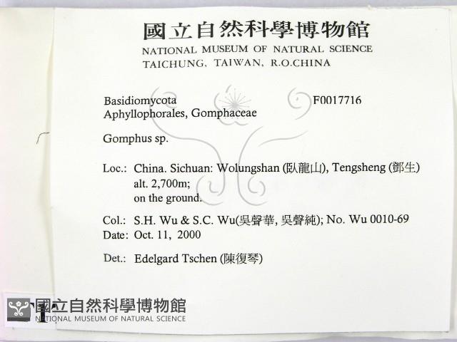 登錄號:F0017716藏品圖，第2張