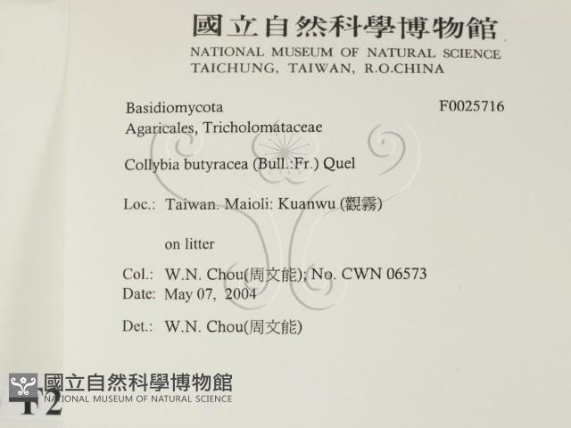 登錄號:F0025716藏品圖，第2張