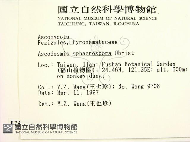 登錄號:F0005716藏品圖，第2張