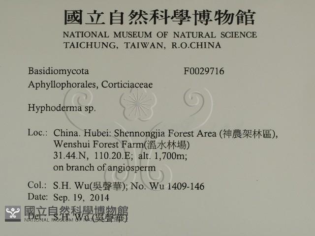 絲皮菌屬藏品圖，第2張