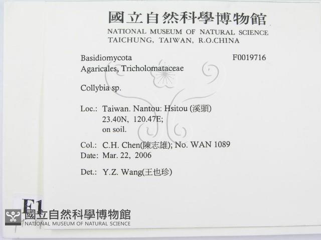登錄號:F0019716藏品圖，第2張