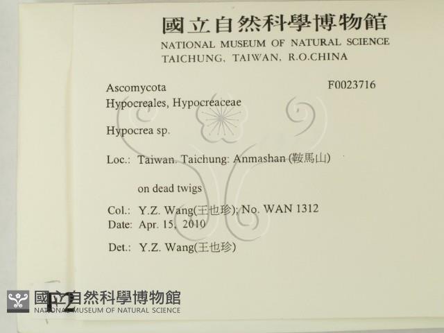 登錄號:F0023716藏品圖，第2張