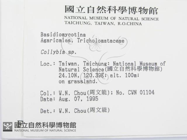 登錄號:F0003716藏品圖，第2張