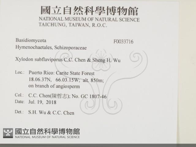 登錄號:F0033716藏品圖，第2張