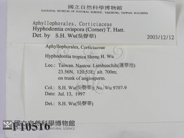 登錄號:F0010516藏品圖，第2張