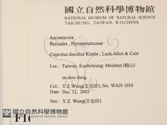 登錄號:F0016516藏品圖，第2張