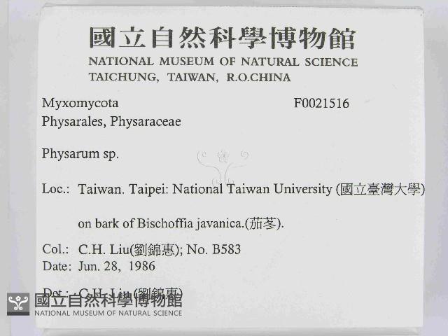 登錄號:F0021516藏品圖，第2張