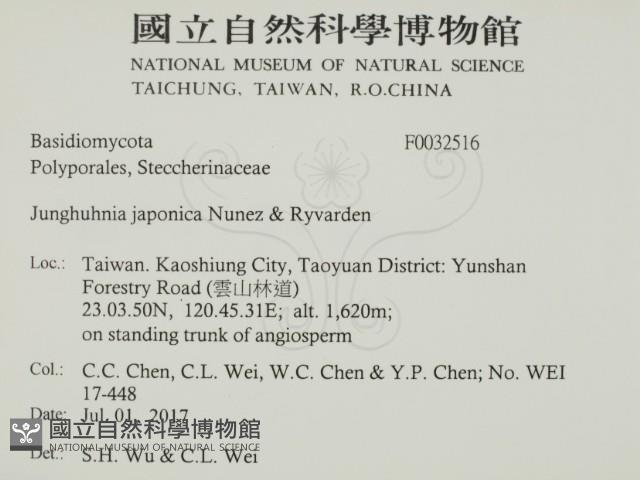 登錄號:F0032516藏品圖，第2張