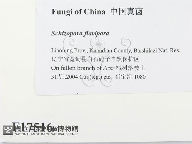 登錄號:F0017516藏品圖，第2張