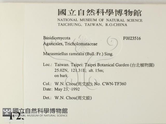 登錄號:F0023516藏品圖，第2張