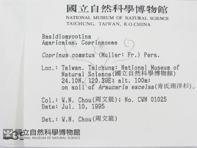 登錄號:F0003516藏品圖，第2張