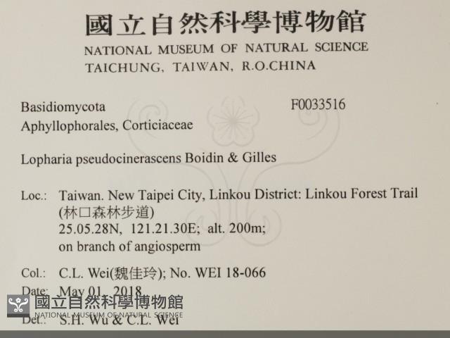 登錄號:F0033516藏品圖，第2張