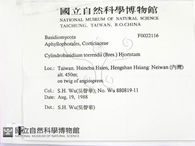 登錄號:F0022116藏品圖，第2張