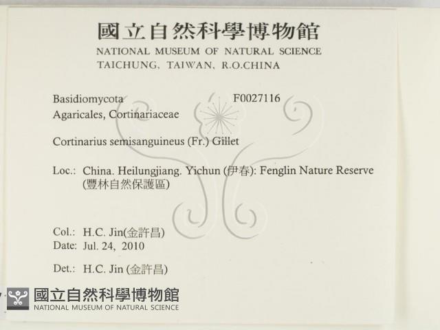 登錄號:F0027116藏品圖，第2張