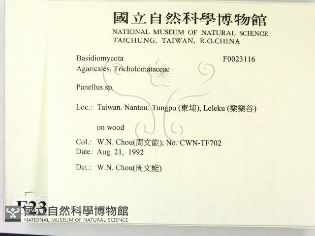 登錄號:F0023116藏品圖，第2張