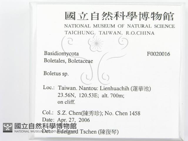 登錄號:F0020016藏品圖，第2張