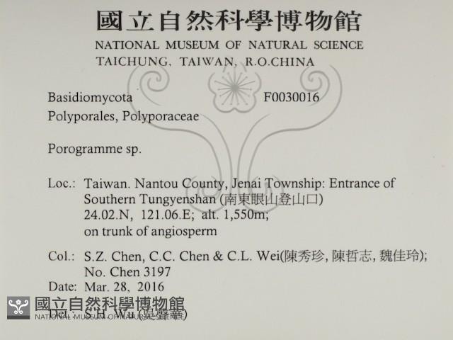 登錄號:F0030016藏品圖，第2張