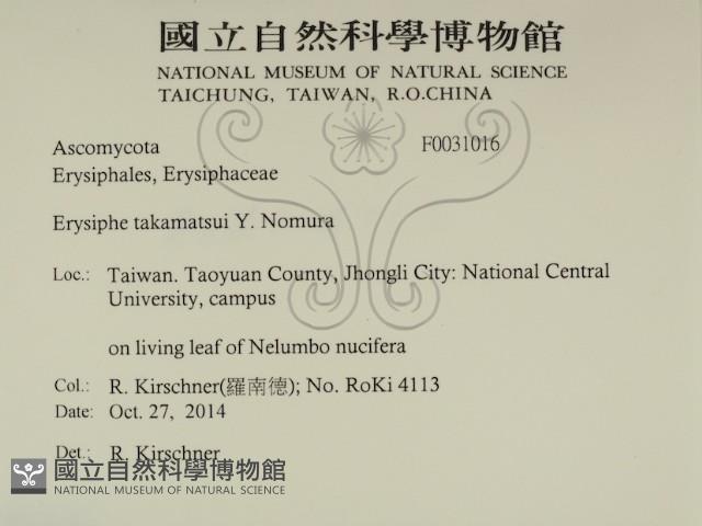 登錄號:F0031016藏品圖，第2張