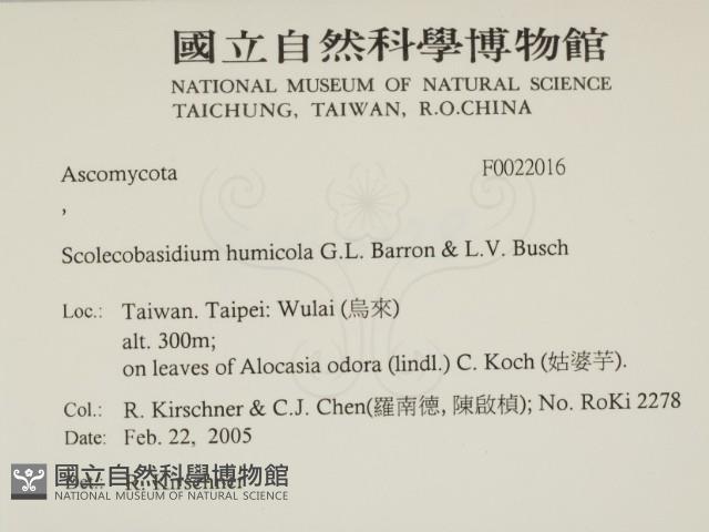 登錄號:F0022016藏品圖，第2張