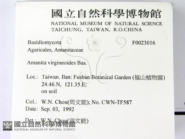 登錄號:F0023016藏品圖，第2張