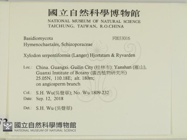 登錄號:F0033016藏品圖，第2張