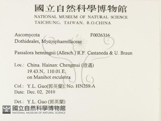 登錄號:F0026316藏品圖，第2張