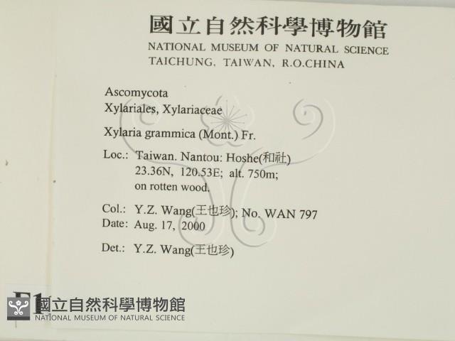 登錄號:F0011316藏品圖，第2張