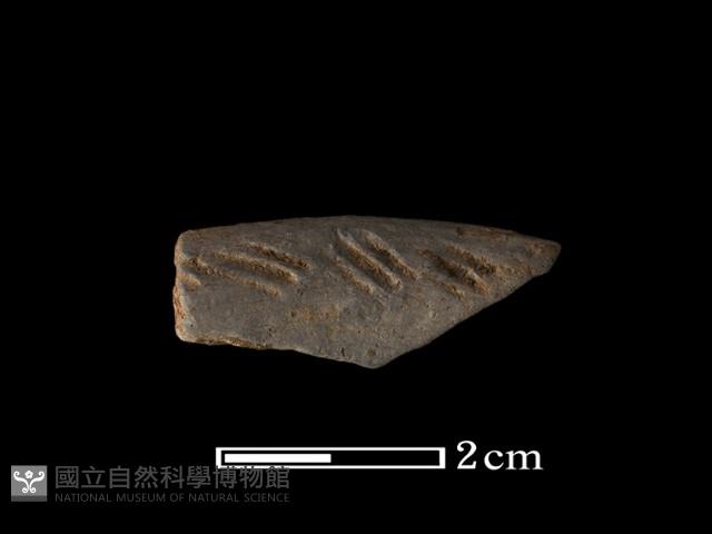 陶片藏品圖，第2張