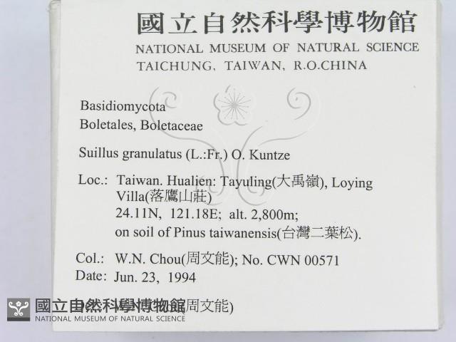 登錄號:F0002316藏品圖，第2張