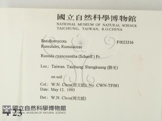 登錄號:F0023316藏品圖，第2張