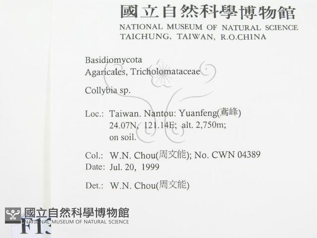登錄號:F0013316藏品圖，第2張