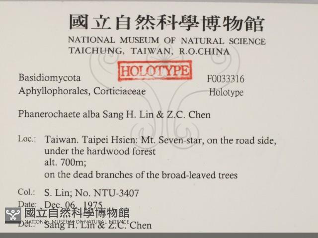 登錄號:F0033316藏品圖，第2張