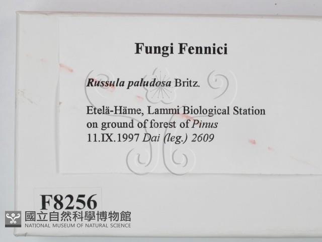 登錄號:F0008256藏品圖，第2張