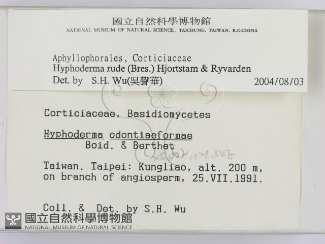 登錄號:F0000256藏品圖，第2張