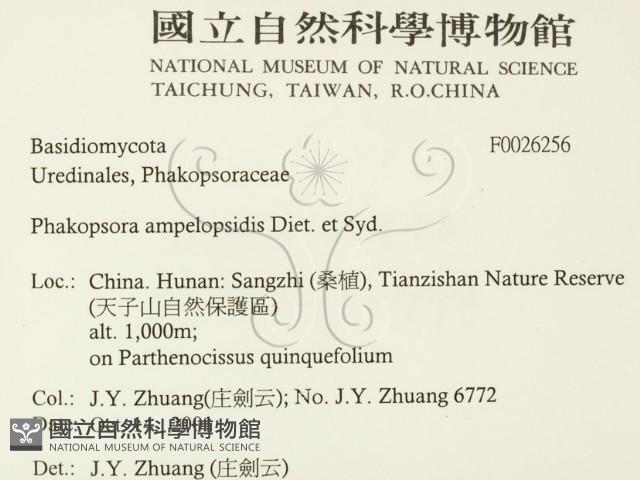 登錄號:F0026256藏品圖，第2張