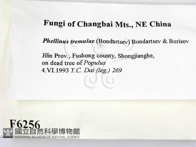 登錄號:F0006256藏品圖，第2張