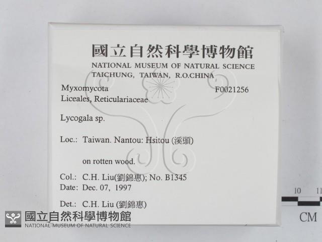 登錄號:F0021256藏品圖，第2張