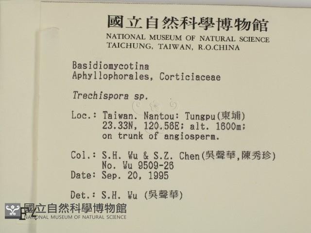 登錄號:F0004256藏品圖，第2張