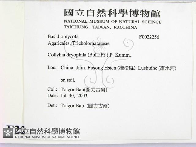 登錄號:F0022256藏品圖，第2張