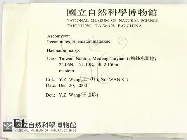 登錄號:F0012256藏品圖，第2張