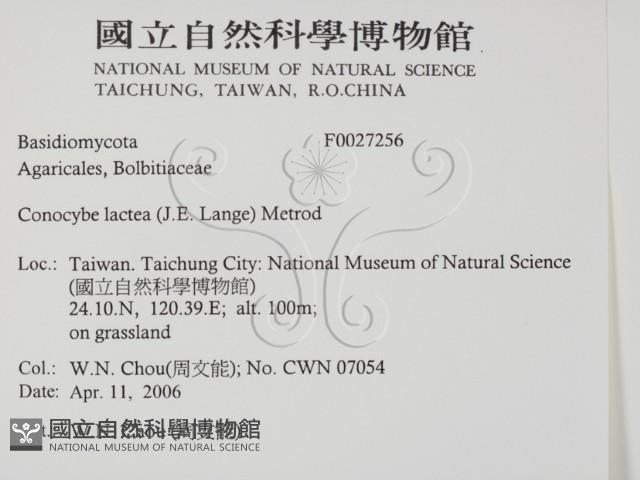 登錄號:F0027256藏品圖，第2張