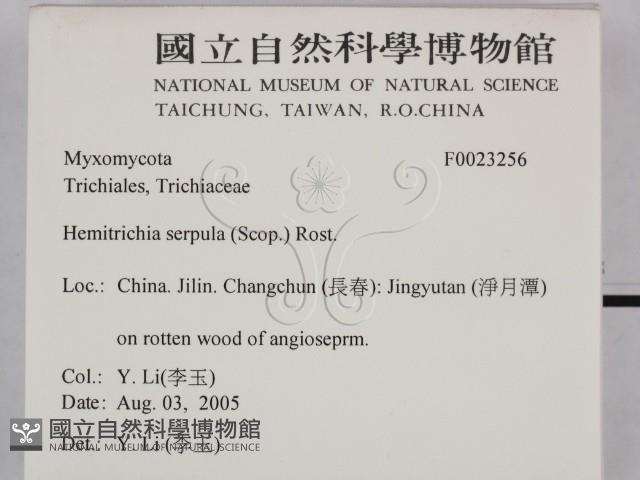 登錄號:F0023256藏品圖，第2張